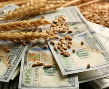 В українських портах Азовського моря впали ціни на пшеницю